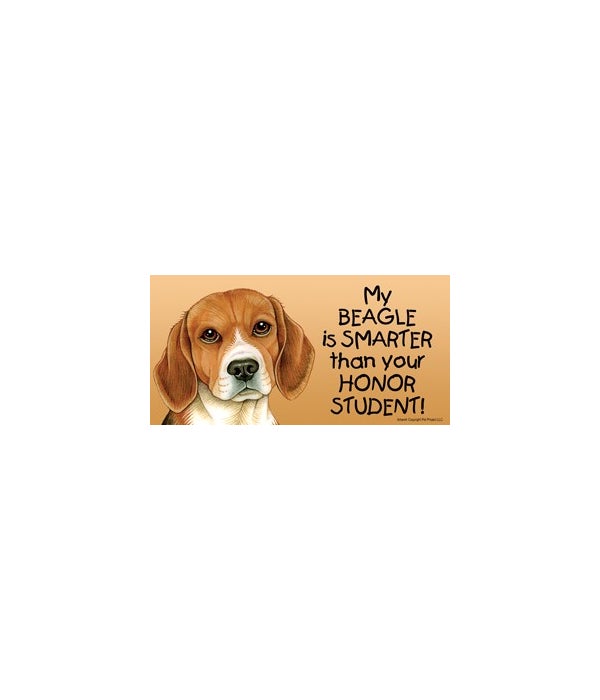 My Beagle is smarter than your honor student!- 4x8 Car Magnet