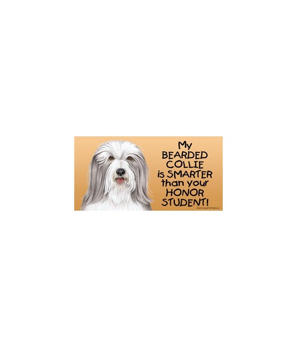 My Bearded Collie is smarter than your honor student!- 4x8 Car Magnet