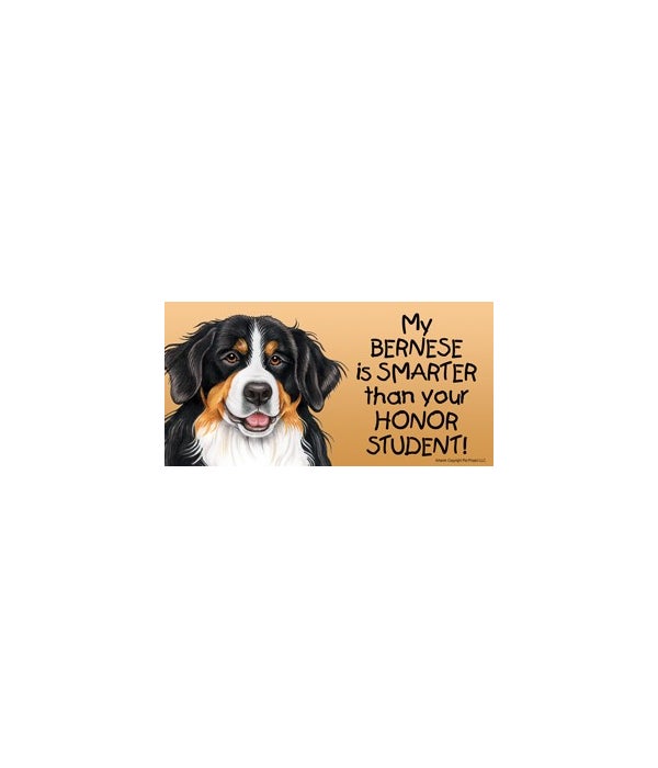 My Bernese is smarter than your honor student!- 4x8 Car Magnet