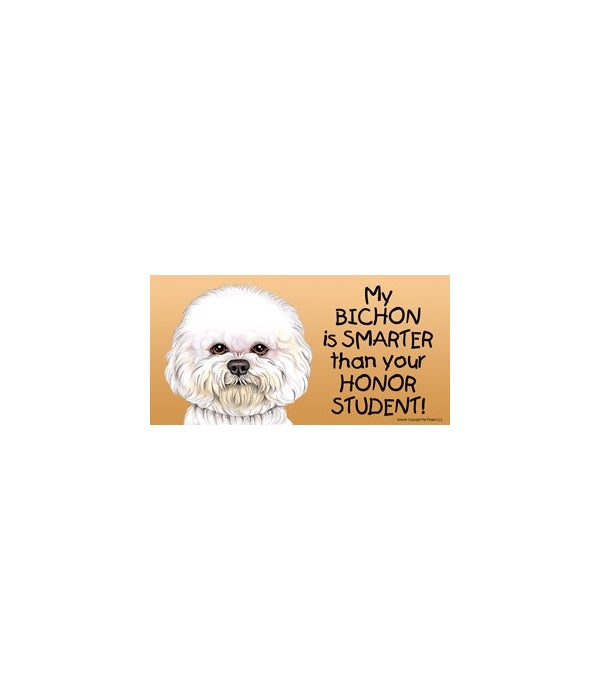 My Bichon is smarter than your honor student!- 4x8 Car Magnet