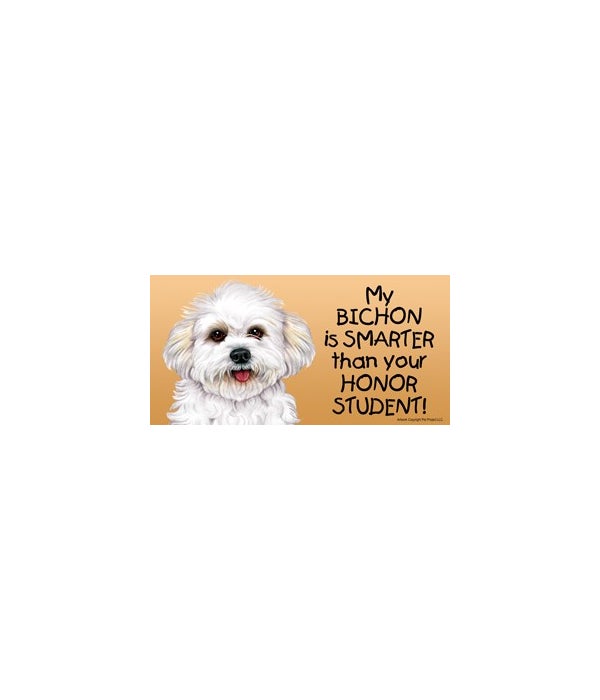 My Bichon is smarter than your honor student!- 4x8 Car Magnet