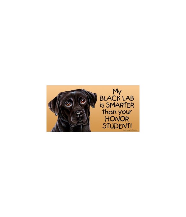 My Black Lab is smarter than your honor student!- 4x8 Car Magnet