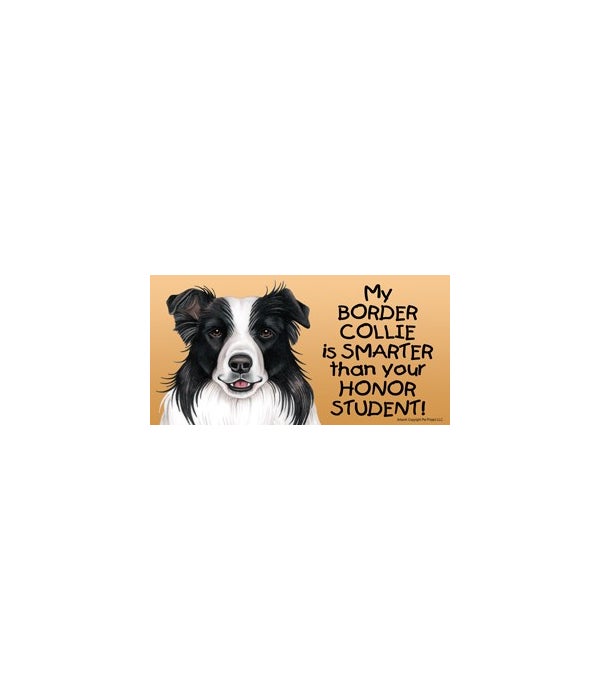 My Border Collie is smarter than your honor student!- 4x8 Car Magnet