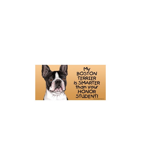 My Boston Terrier is smarter than your honor student!- 4x8 Car Magnet