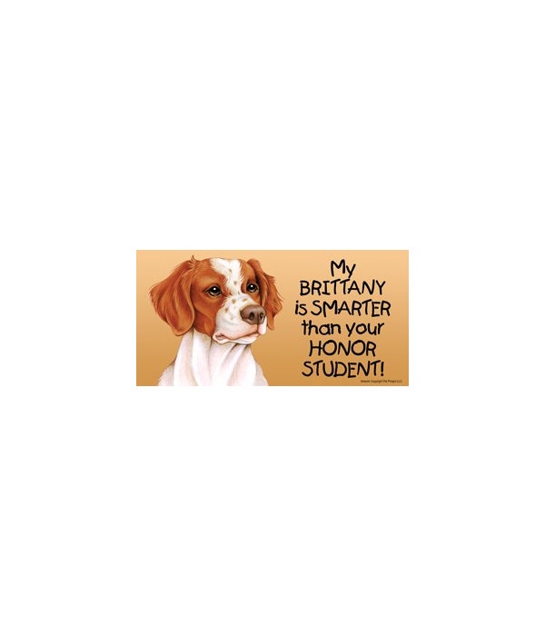 My Brittany is smarter than your honor student!- 4x8 Car Magnet