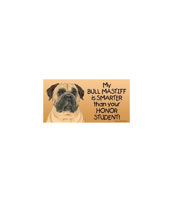 My Bull Mastiff is smarter than your honor student!- 4x8 Car Magnet