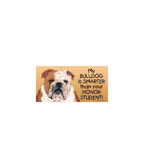 My Bulldog is smarter than your honor student!- 4x8 Car Magnet