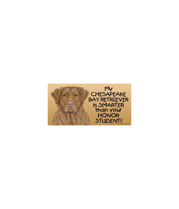 My Chesapeake Bay Retriever is smarter than your honor student!- 4x8 Car Magnet