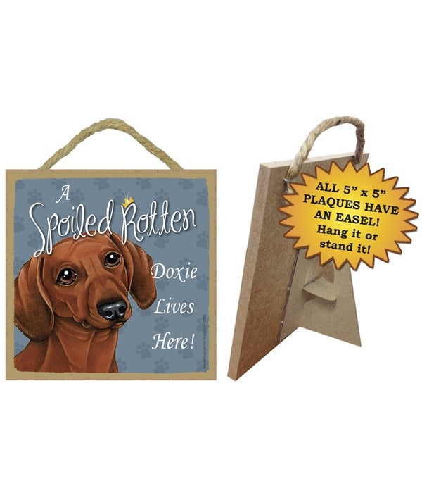Dachsund Brown Spoiled 5x5 Plaque