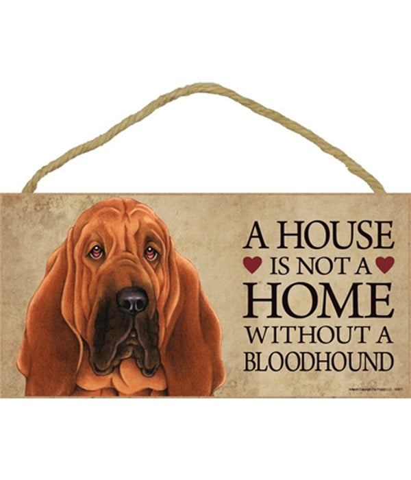 Bloodhound House 5x10