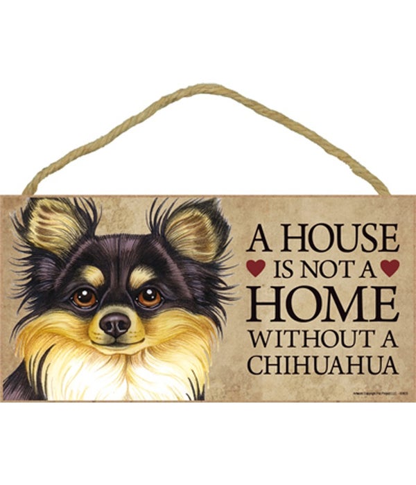 Chihuahua (Long haired, black and tan) H