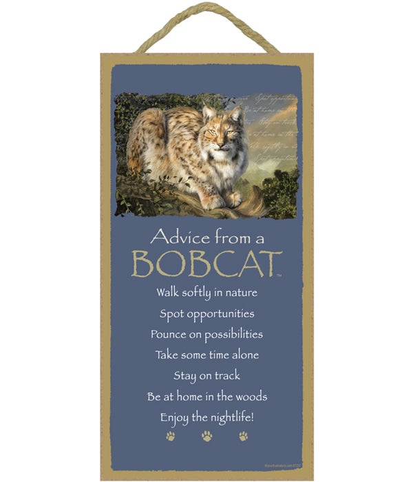 Advice from a Bobcat 5x10