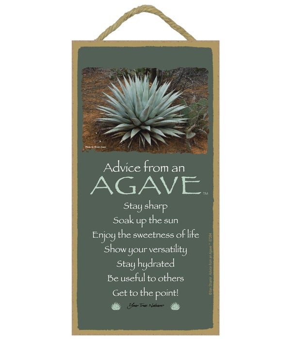 Advice from a Agave 5 x10
