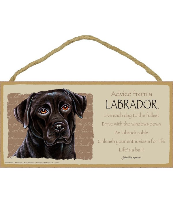 Advice from a (Black) Labrador 5x10