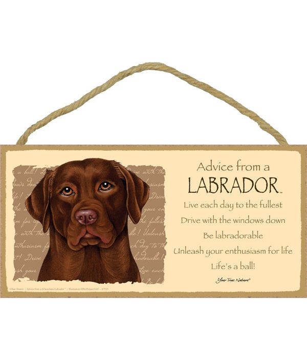 Advice from a (Chocolate) Labrador 5x10