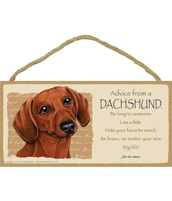 Advice from a Dachshund (red) 5x10