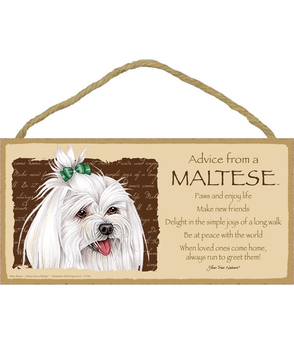 Advice from a Maltese (with bow) 5x10