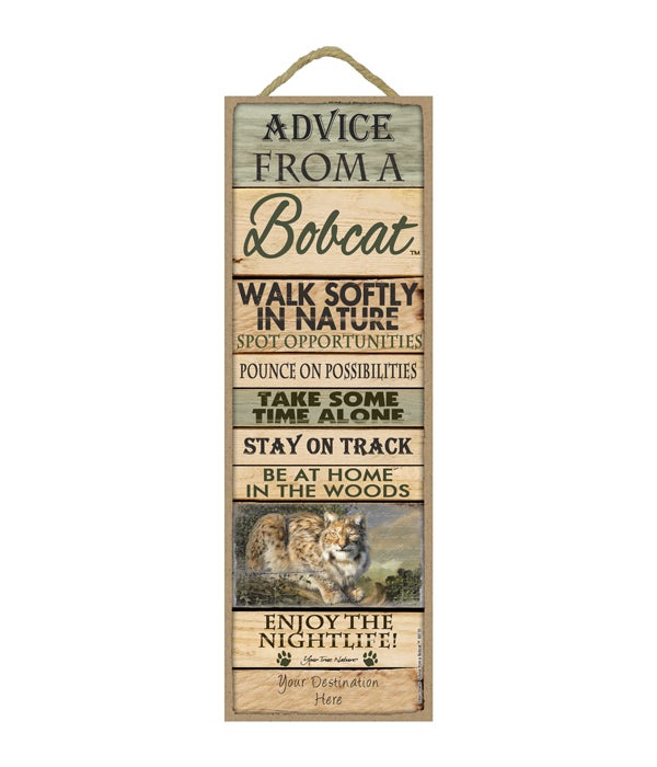 Advice from a Bobcat 5x15 Plank