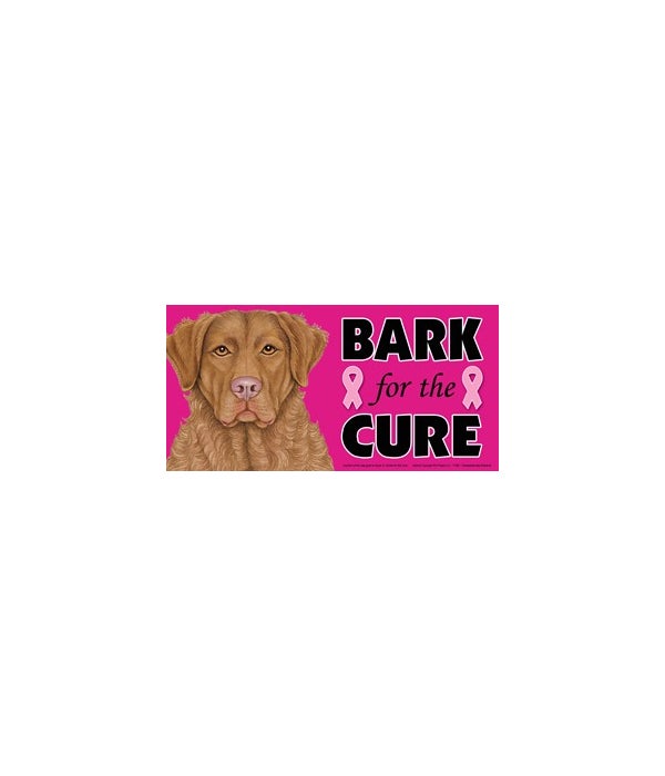 Bark for the Cure Chessie-4x8 Car Magnet