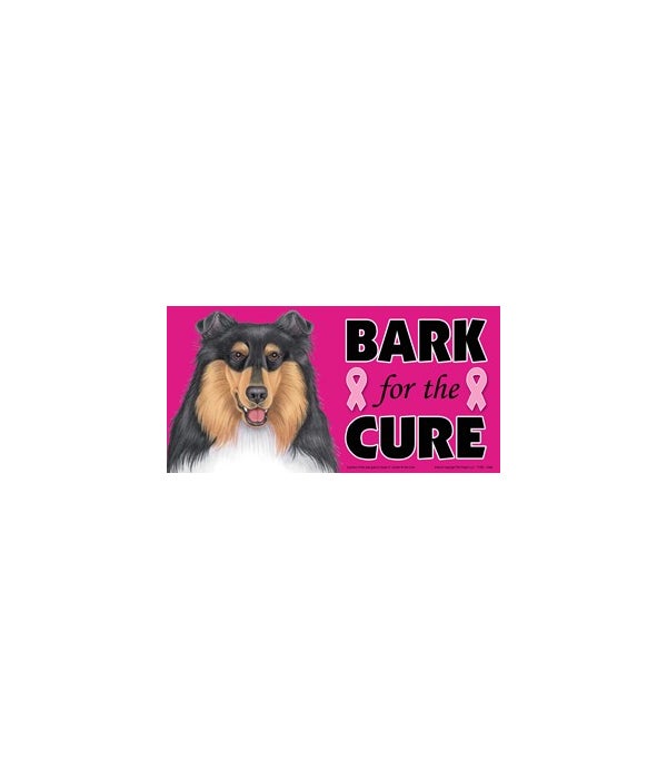 Bark for the Cure Collie-4x8 Car Magnet