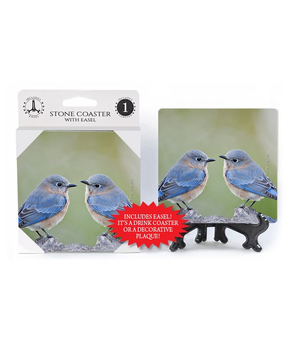 Blue Birds facing each other -1 pack stone coaster