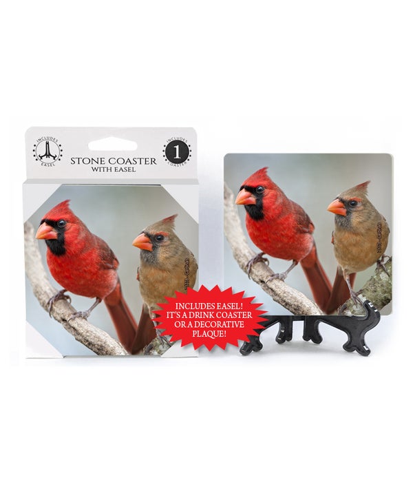 Cardinal-male and female perched next to each other  -1 pack stone coaster