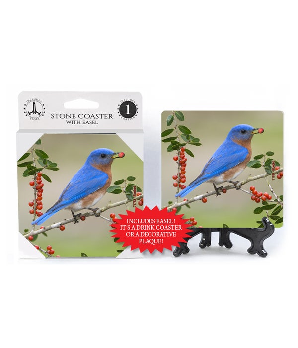 Bluebird with berry in mouth -1 pack stone coaster