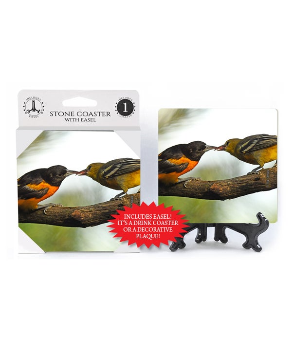 Orioles feeding each other -1 pack stone coaster
