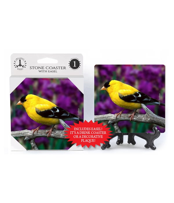 Goldfinch -1 pack stone coaster