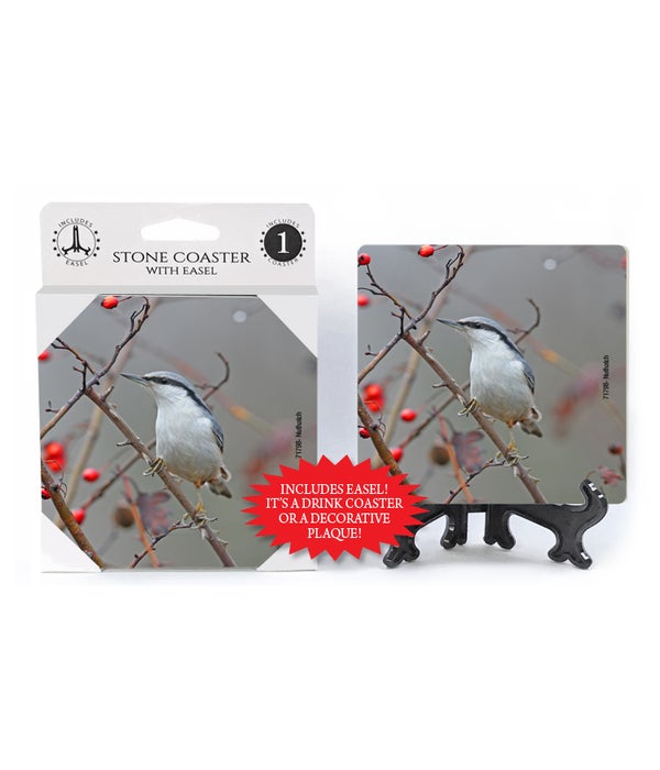 Nuthatch -1 pack stone coaster
