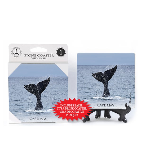 whale tail  Coasters 1 pack
