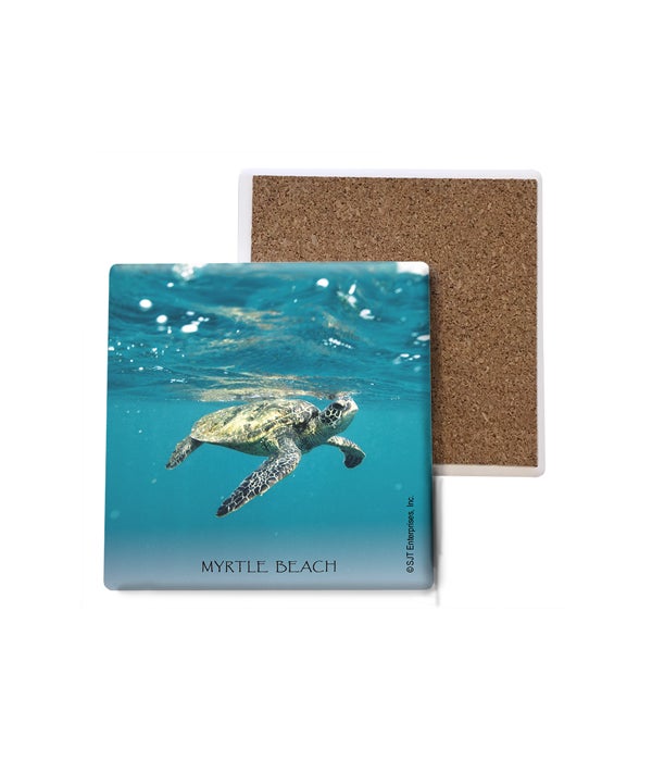 sea turtle swimming to the right at the water's surface-Stone Coasters