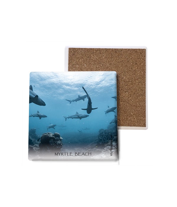 sharks swimming-Stone Coasters