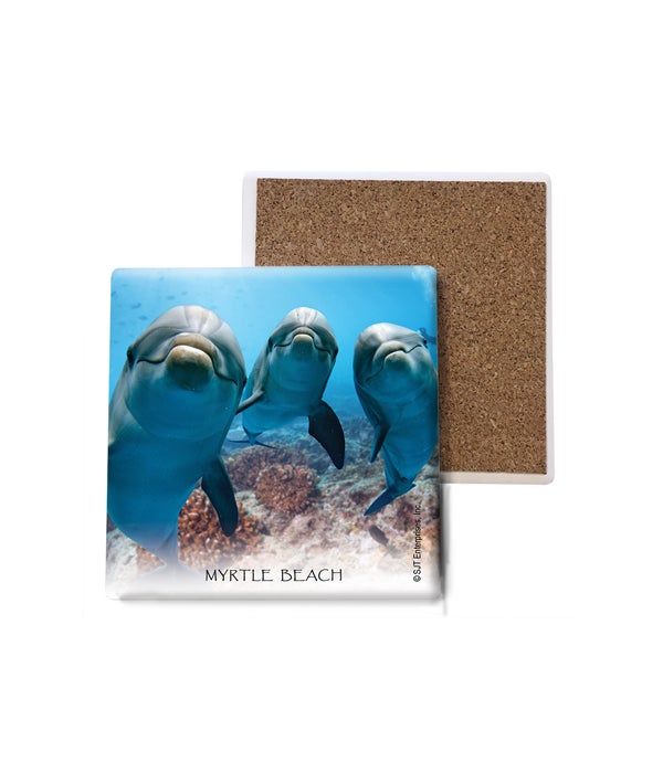 dolphins (3) curious and smiling  Coasters Bulk