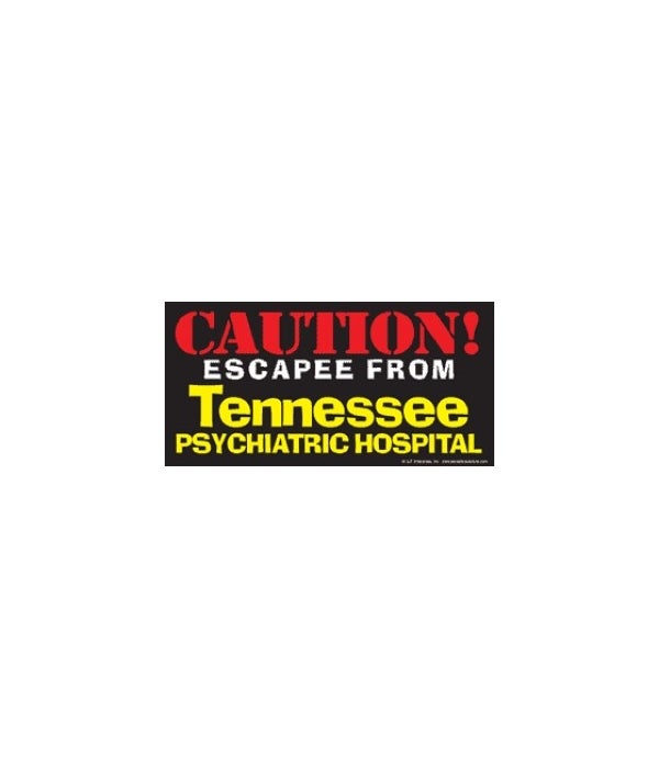 Psychiatric Hospital-4x8 Car Magnet