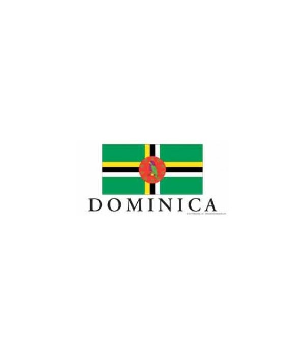 Dominica 4x8 Car Magnet