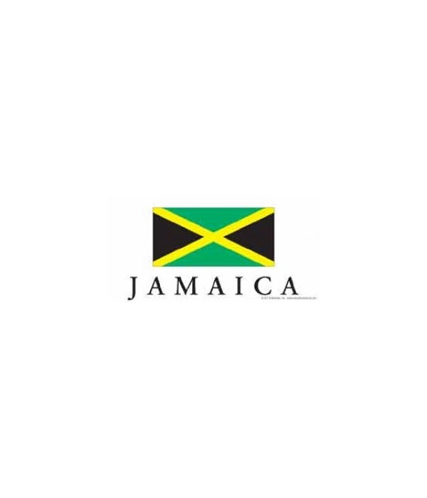 Jamaica 4x8 Car Magnet