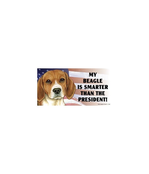 My Beagle is smarter than the President- 4x8 Car Magnet