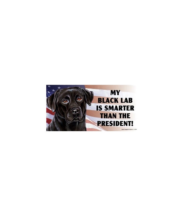 My Black Lab is smarter than the President- 4x8 Car Magnet