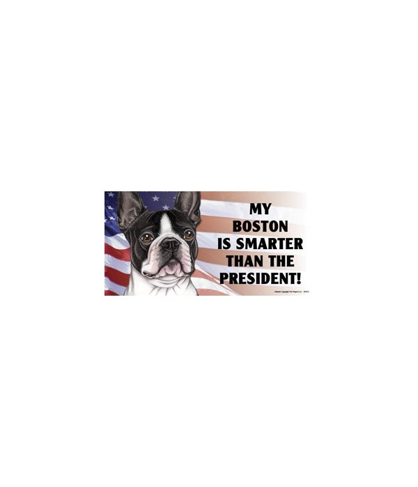 My Boston is smarter than the President- 4x8 Car Magnet