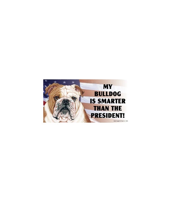 My Bulldog is smarter than the President- 4x8 Car Magnet