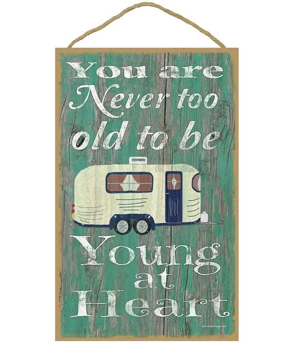 You are never too old to be young - camp