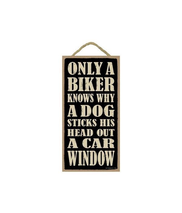 Only a biker knows why a dog sticks his
