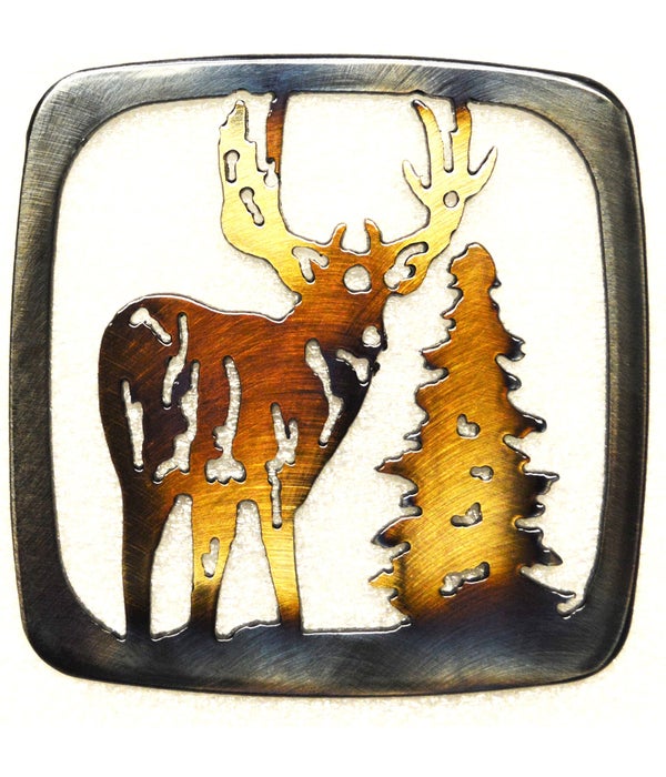 Mule Deer Coaster