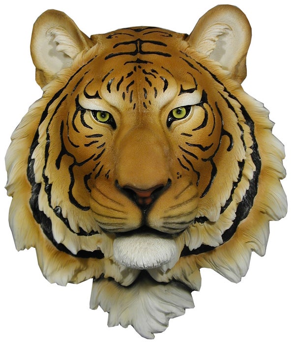 15.5" Exotica (Orange Tiger Head)