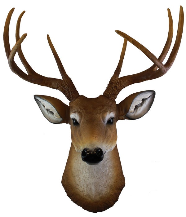 *22.5" The Duke (Deer Head)