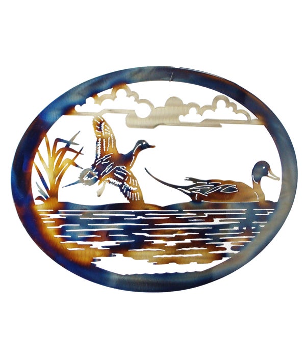 Pintail Duck 15x20-Inch Oval Wall Art