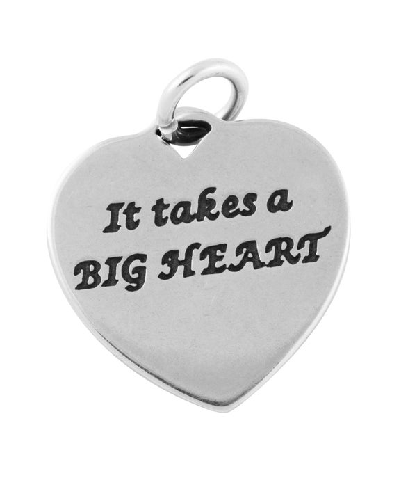 BIG HEART TEACH MINDS