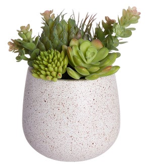 Succulent Bouquet in a Pot