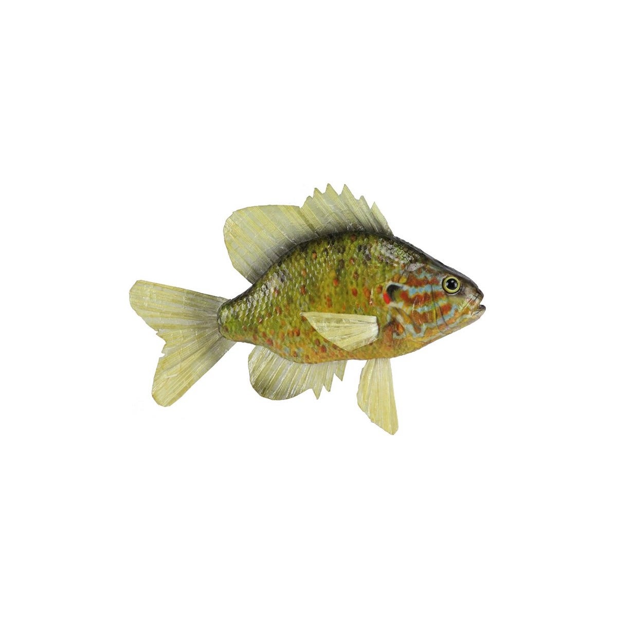 Real-Look Pumpkinseed Sunfish